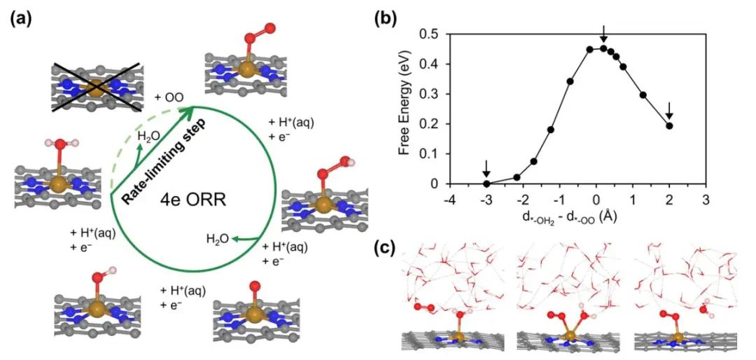 JACS：Fe-N-C催化劑在氧還原反應(yīng)中的決速步是什么?