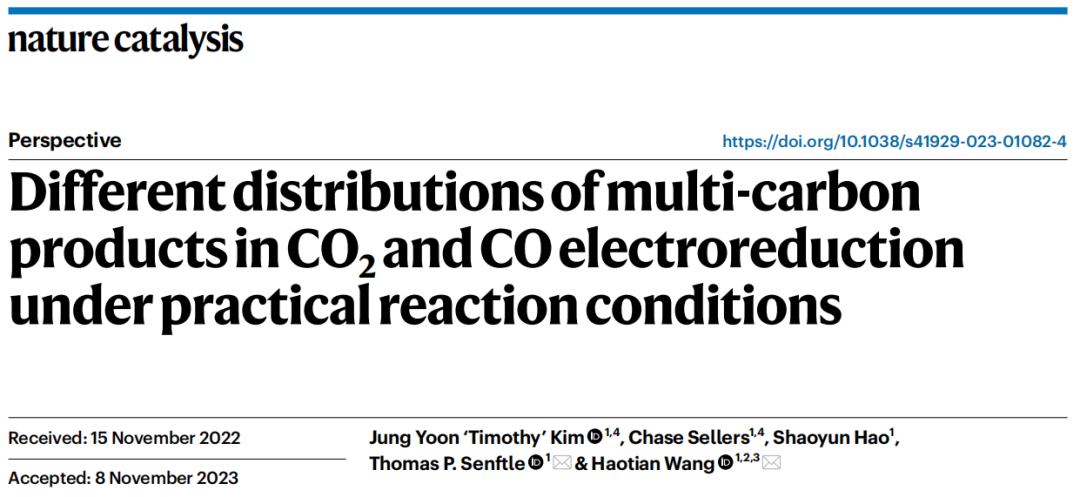 汪淏田教授，最新Nature Catalysis！