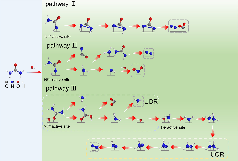 華科Chem Catalysis：如何建立尿素氧化中催化劑結(jié)構(gòu)，活性物種和產(chǎn)物選擇性三者的構(gòu)效關(guān)系？