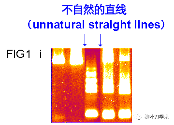 學(xué)術(shù)造假、導(dǎo)師自殺，她將這段學(xué)術(shù)經(jīng)歷出書(shū)販賣(mài)，年收入上百萬(wàn)