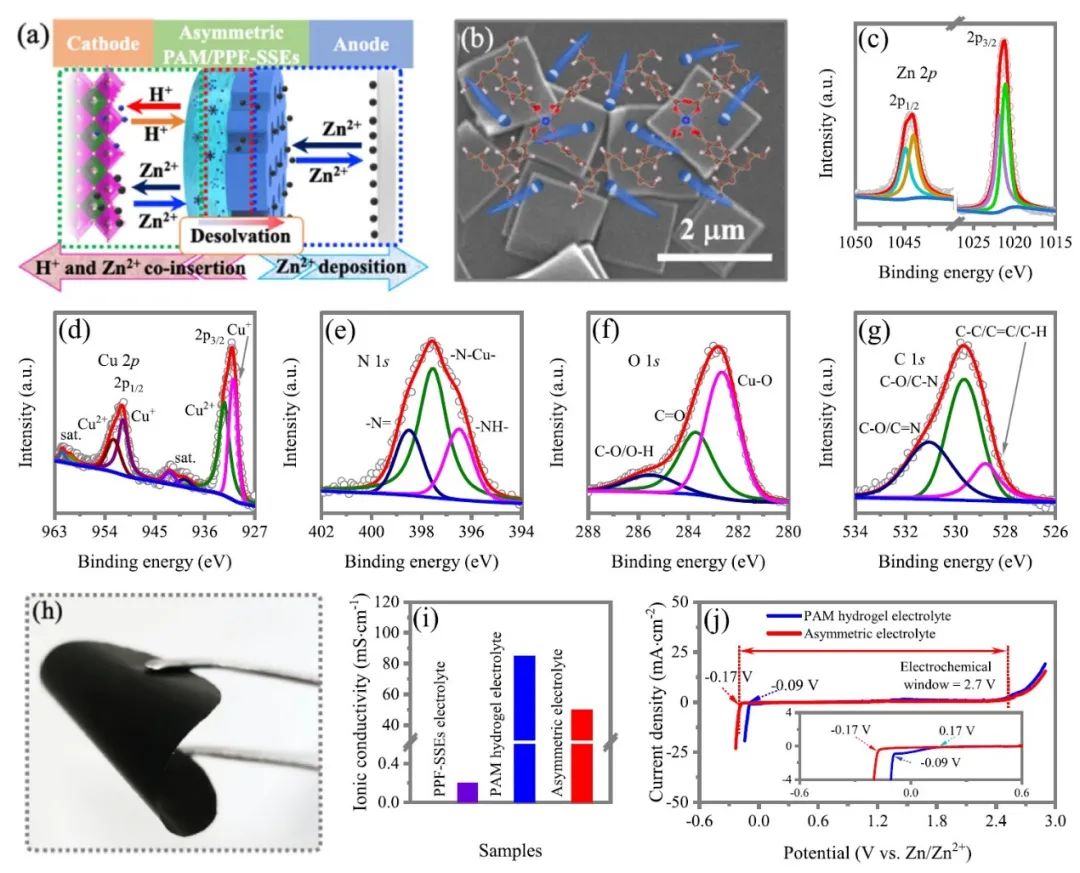 ?支春義教授，最新Nature子刊！