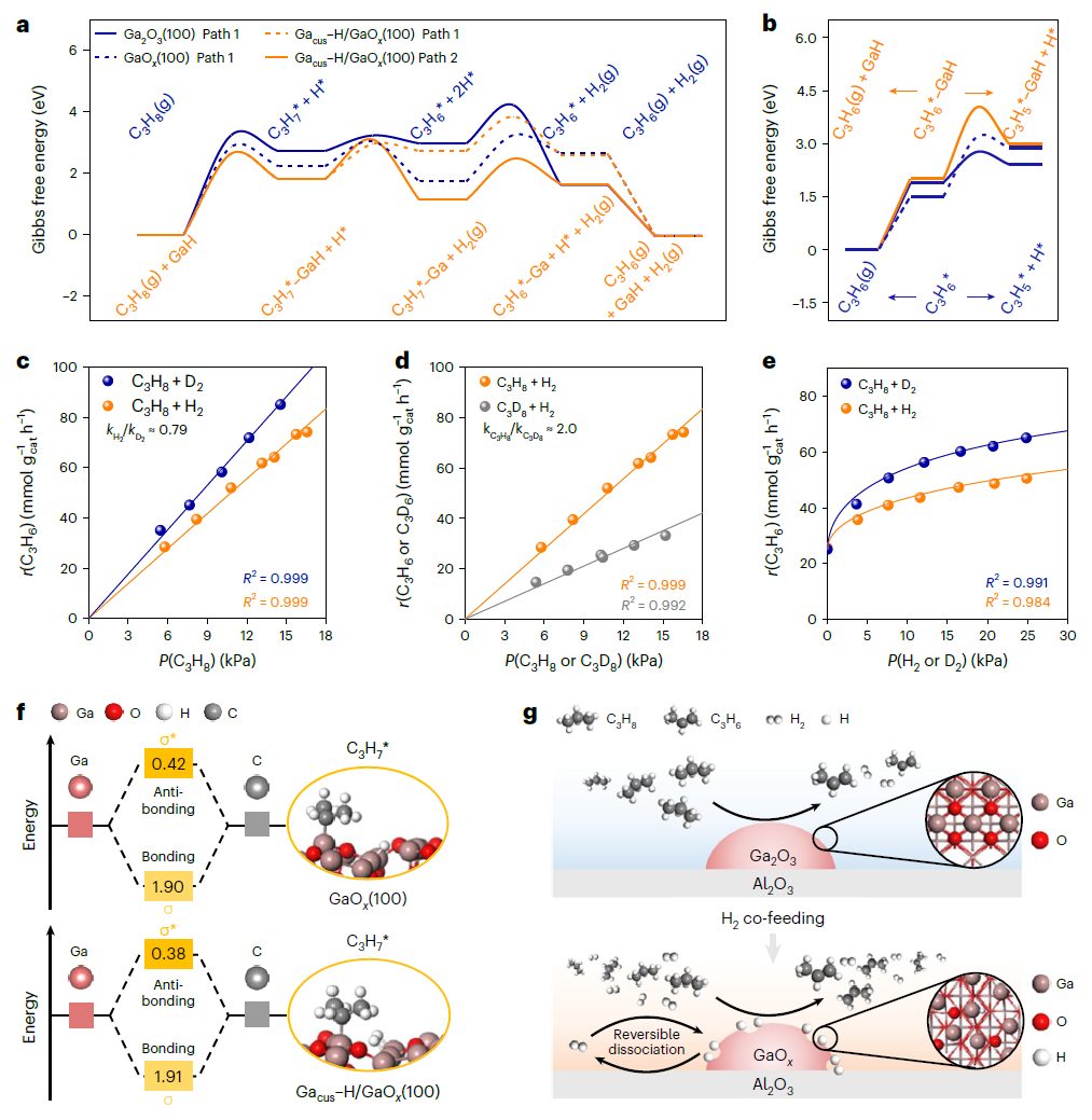 鞏金龍教授，最新Nature Chemistry！