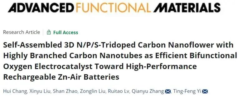 伊廷鋒/張千玉AFM：碳納米管自組裝三維N/P/S摻雜納米花，實(shí)現(xiàn)高效雙功能氧電催化