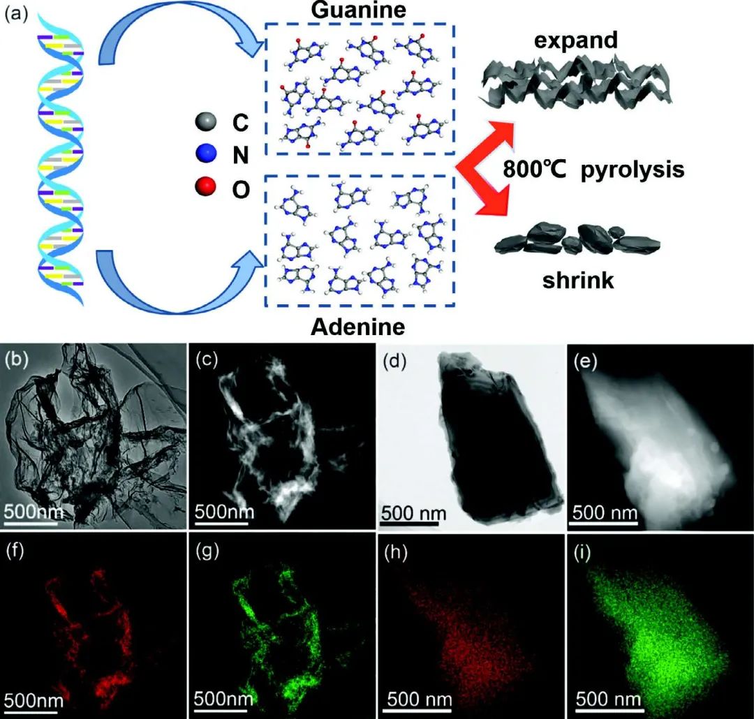 電池頂刊集錦！Nat. commun./JACS/Angew/Adv. Sci./AFM/EnSM等成果！