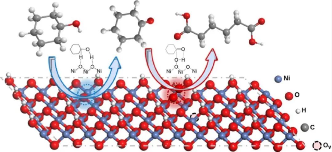 唐頤/徐昕/高慶生JACS：控制NiOOH活性位點定向電合成己二酸和環(huán)己酮