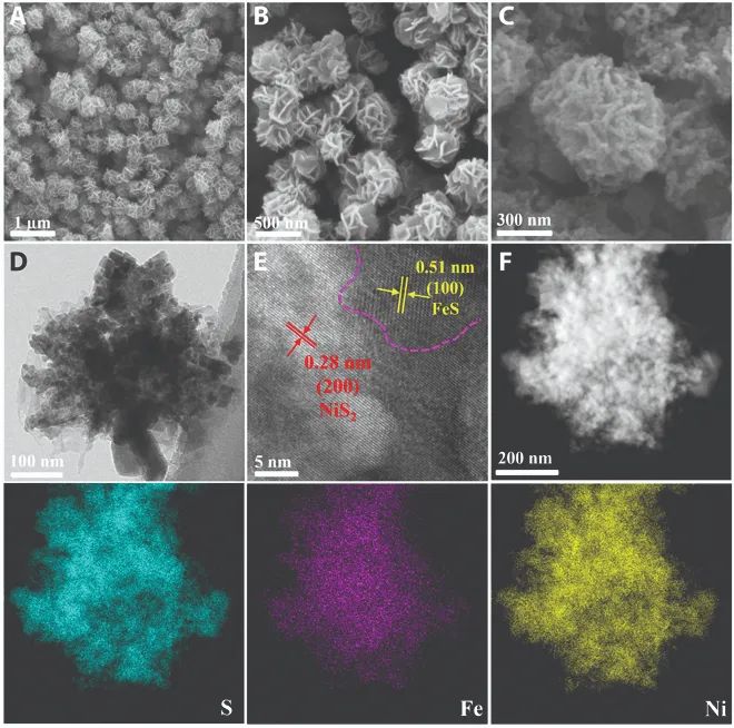 【DFT+實(shí)驗(yàn)】電子科技大學(xué)陳俊松教授團(tuán)隊(duì)EMA：具有優(yōu)異儲(chǔ)鈉性能的NiS2/FeS納米花狀異質(zhì)結(jié)材料