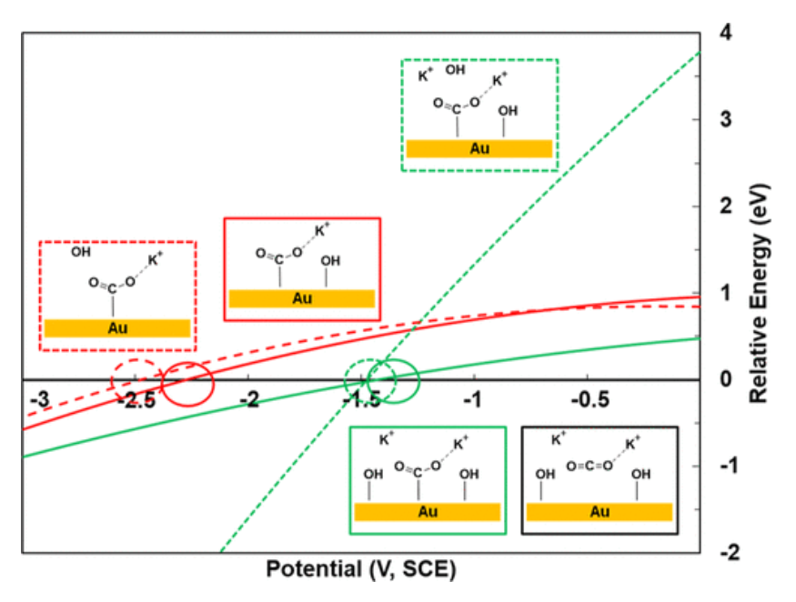 【計算文獻(xiàn)解讀】ACS Catalysis：KOH濃度的影響和OH–在CO2電催化還原中的作用