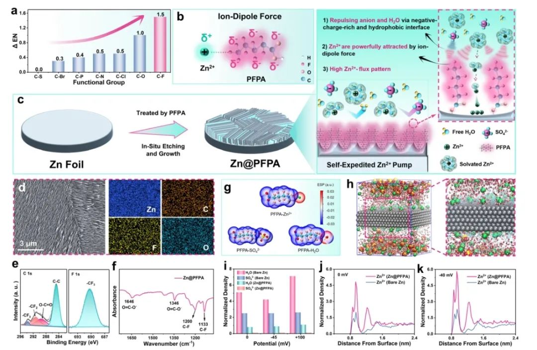 ?廣工大李成超/廈大楊陽EES：離子偶極相互作用驅(qū)動的 Zn2+泵和陰離子排斥界面實現(xiàn)超高倍率鋅金屬負(fù)極
