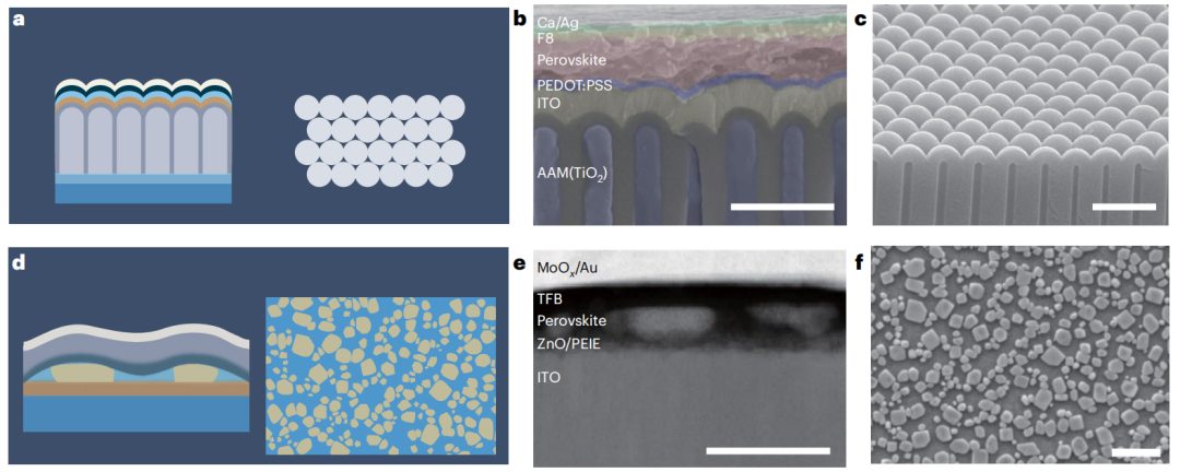 浙大趙保丹/狄大衛(wèi)重磅Nature Nanotechnology！