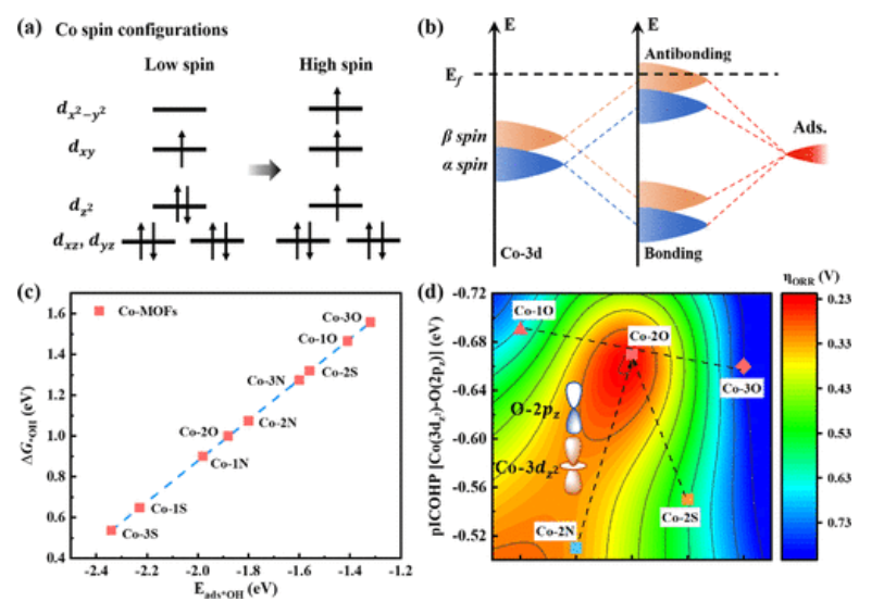 【頂刊純計算】ACS Catal.：有機配體對2D金屬-有機框架中金屬位點自旋態(tài)的協同作用用于提高ORR性能