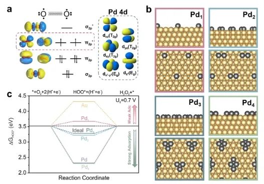 ?JACS：調(diào)制Au@Pd納米線上Pd 4d軌道重疊程度，實(shí)現(xiàn)選擇性制備H2O2