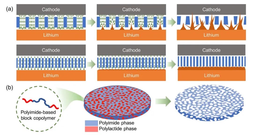 ?弗吉尼亞理工ACS Nano：介孔聚酰亞胺隔膜抑制鋰枝晶生長(zhǎng)