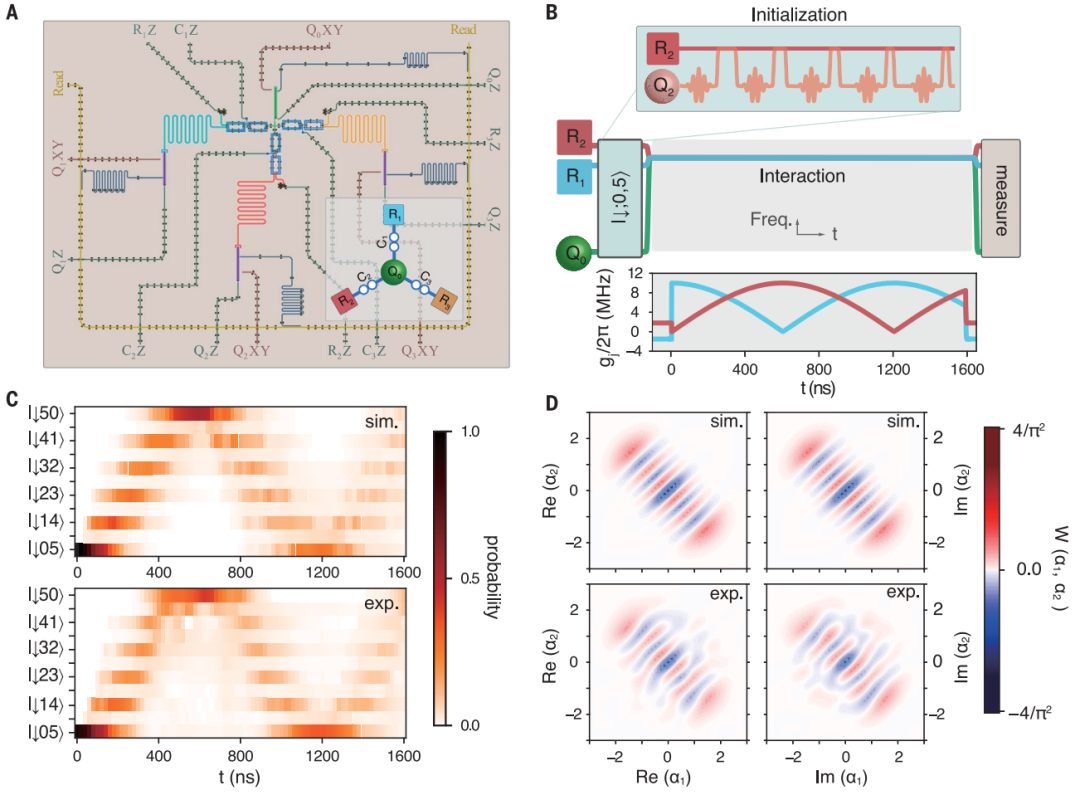 浙江大學(xué)，最新Science！