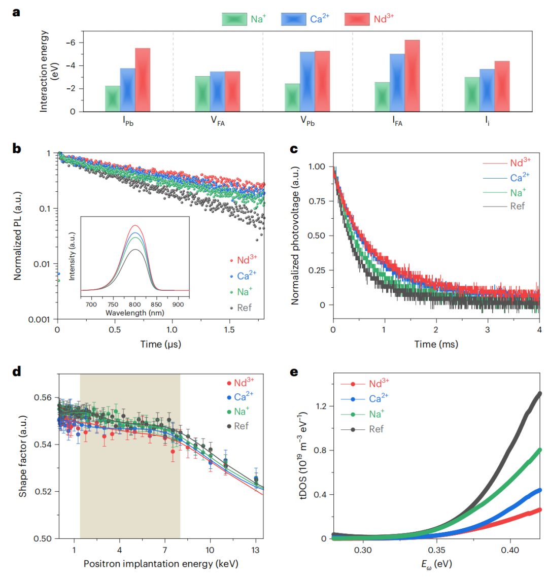 UCLA楊陽教授，最新Nature Materials！