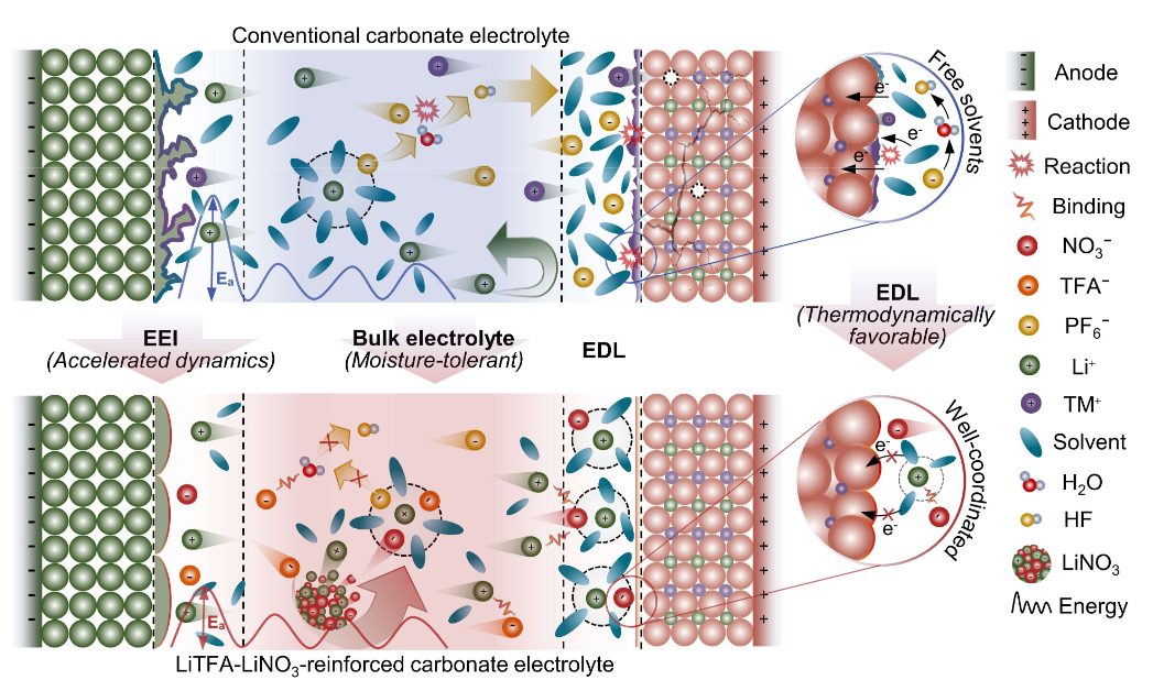 【MD+實(shí)驗(yàn)】Angew：高壓鋰電碳酸酯電解質(zhì)新進(jìn)展