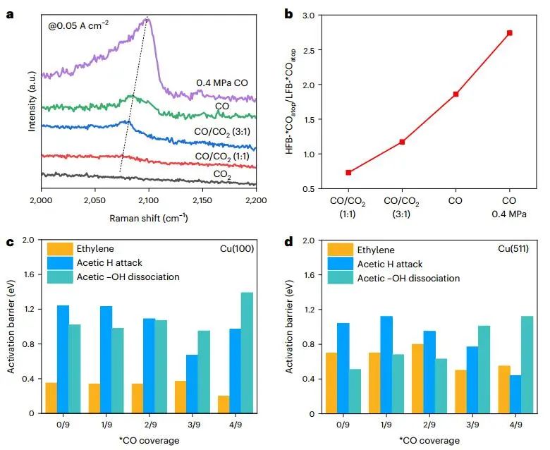 殺瘋了！大連化物所，一天里連發(fā)Science和兩篇Nature大子刊！