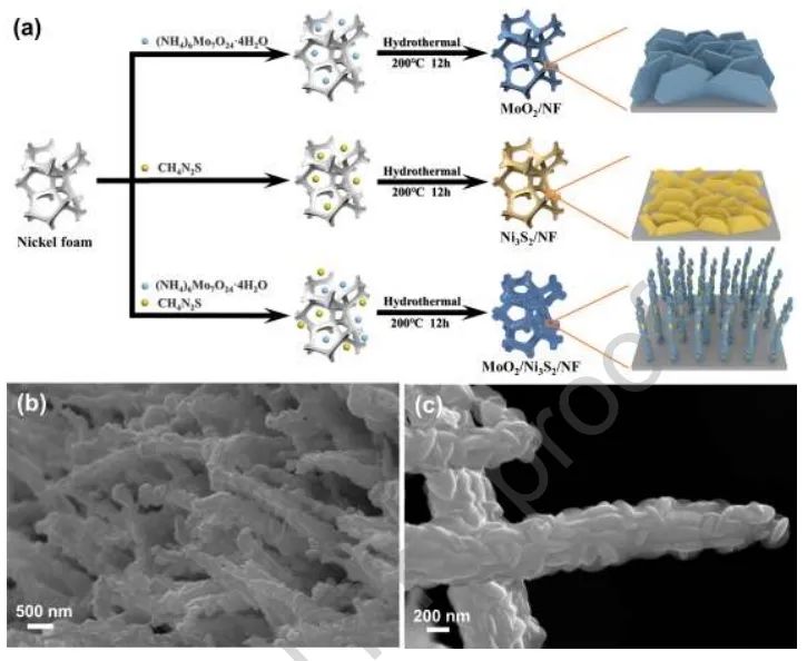 北京科技大學(xué)Nano Energy：構(gòu)建MoO2/Ni3S2異質(zhì)結(jié)界面，增強(qiáng)堿性HER活性