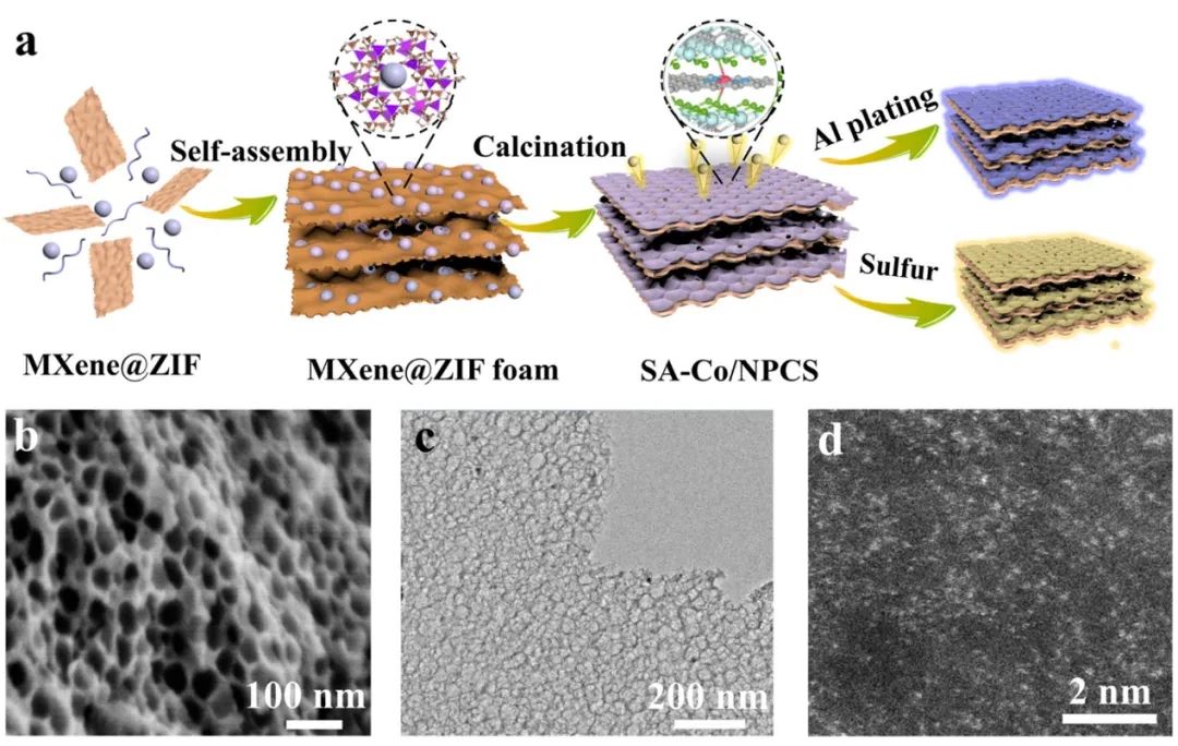 復(fù)旦余學(xué)斌ACS Energy Lett.：動(dòng)態(tài)Al-O相互作用使鋁均勻沉積實(shí)現(xiàn)高性能鋁金屬電池