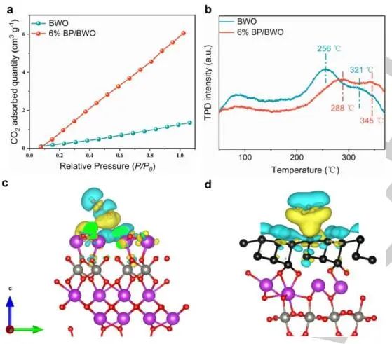 【DFT+實驗】山東大學(xué)Angew.：近100%選擇性！BP/BWO S-型異質(zhì)結(jié)助力苯胺氧化和CO2光轉(zhuǎn)化