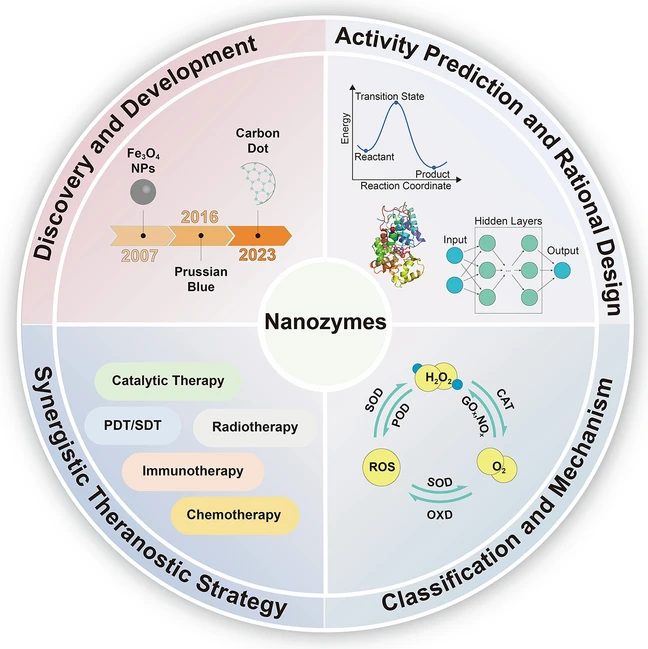 哈工程蓋世麗/楊飄萍等綜述：深入揭示納米酶的設(shè)計(jì)策略、催化機(jī)制和癌癥治療模式