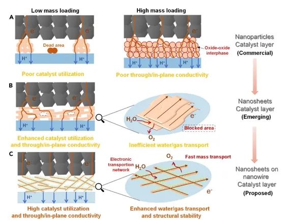 北大?Joule: 構(gòu)建“納米線上分級(jí)亞納米片”催化層，顯著提升PEMWE性能