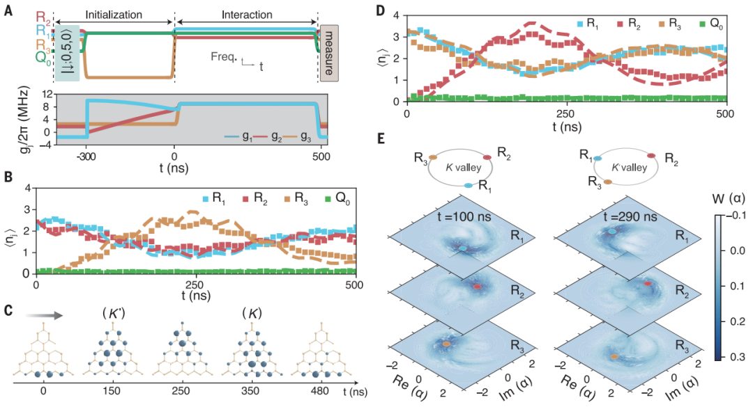 浙江大學(xué)，最新Science！