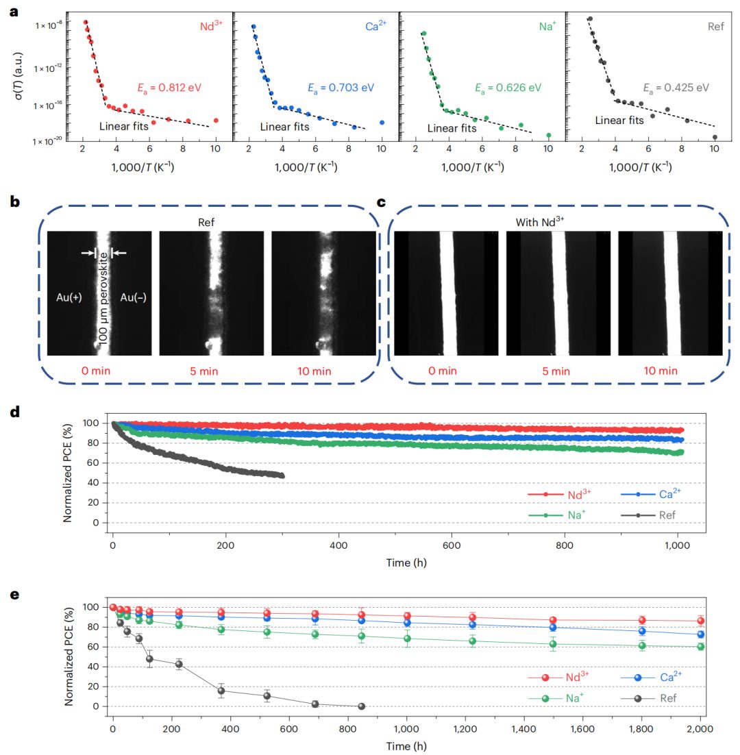 UCLA楊陽教授，最新Nature Materials！