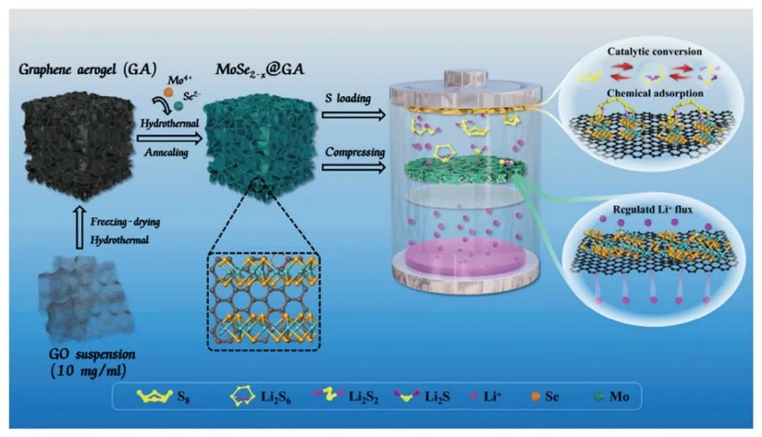 ?湖北大學梅濤AFM：MoSe2改性自支撐石墨烯氣凝膠用于鋰-硫電池