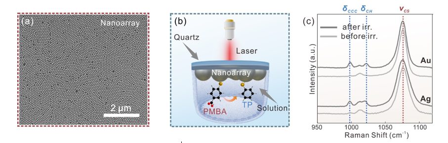 Nano Lett. | 東南大學邱騰、郝祺團隊：探究等離激元催化中的氧化機制：揭示活性氧物種的作用