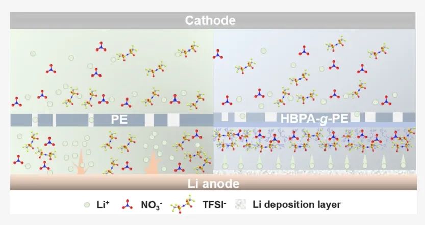 ?武大Nano Letters：分子級陰離子和鋰離子的兩性聚合物隔膜用于高倍率鋰金屬電池