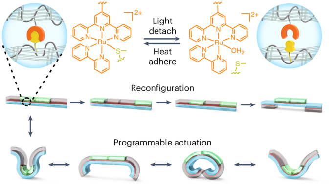 中科大，最新Nature Chemistry！