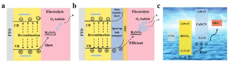 華南師大AEM：BiVO4光陽(yáng)極上引入CuSCN空穴傳輸層，實(shí)現(xiàn)高效光電催化水氧化