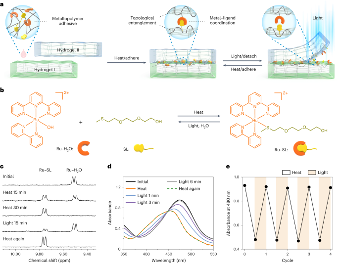 中科大，最新Nature Chemistry！