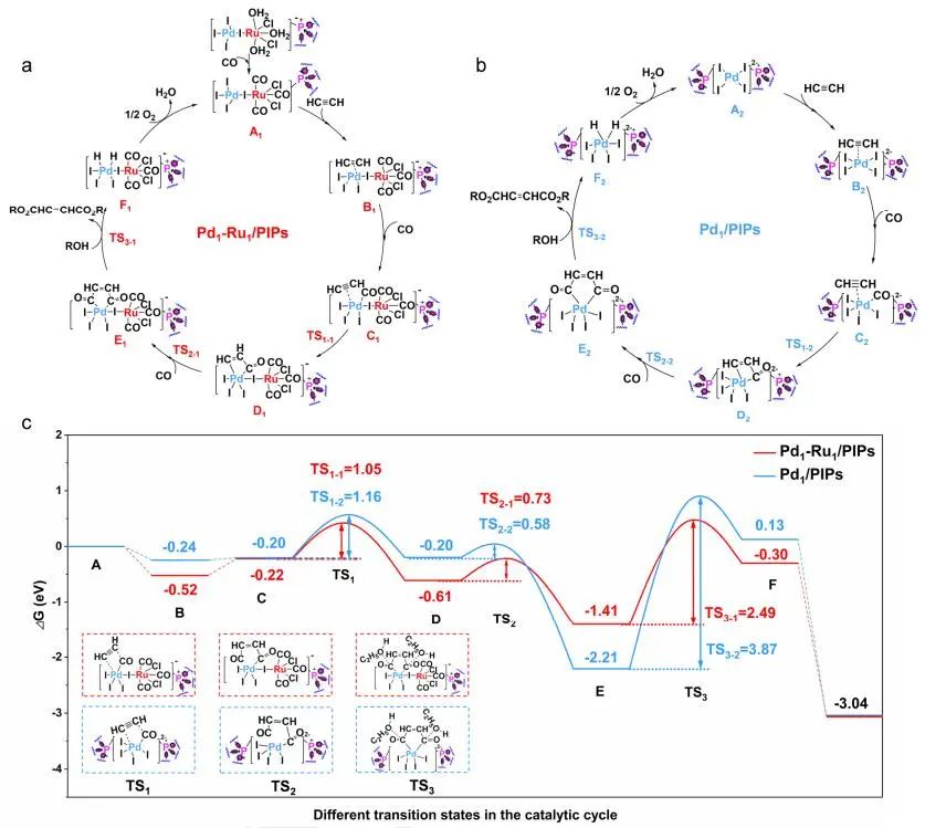 【DFT+實(shí)驗(yàn)】丁云杰/韓仲康A(chǔ)ngew.：近100%選擇性！Pd1-Ru1/PIPs助力乙炔雙羰基化