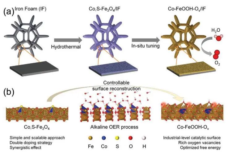 ?【DFT+實驗】Small：Co, S-Fe3O4/IF高效催化OER