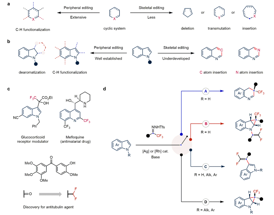 Nat Chem：東北師大畢錫和課題組基于金屬卡賓實(shí)現(xiàn)吲哚多樣性分子編輯