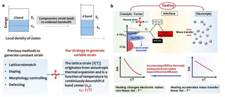 南京大學Nature子刊：各向異性熱膨脹調(diào)節(jié)連續(xù)應變，有效提升OER活性