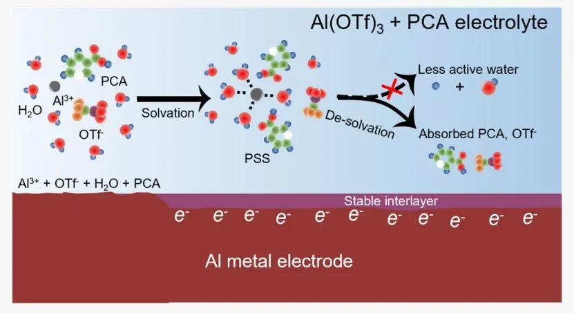 ?復(fù)旦余學(xué)斌JACS：高可逆水系鋁金屬電池的溶劑化結(jié)構(gòu)調(diào)控