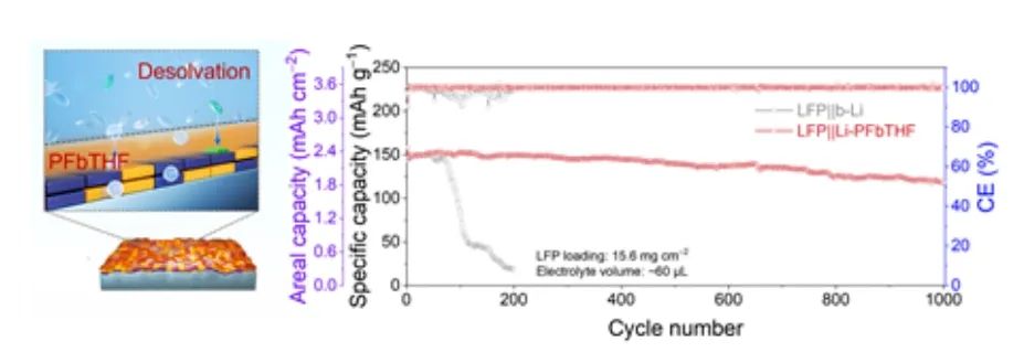 上交黃興溢AM：動(dòng)態(tài)疏溶劑電解質(zhì)界面用于長(zhǎng)壽命鋰金屬電池!