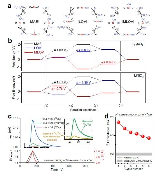 【DFT+實驗】張林娟團(tuán)隊Nature子刊：雙配體空穴作為LiNiO2的催化活性位點