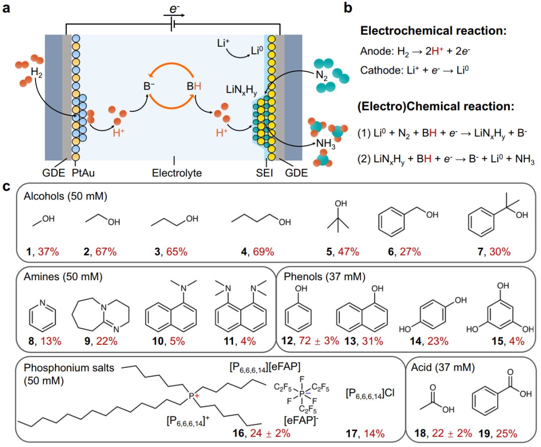 最新Nature子刊：電化學(xué)合成氨！