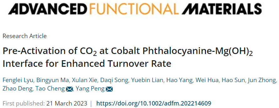 【DFT+實驗】AFM：CoPc/Mg(OH)2/NC助力CO2還原