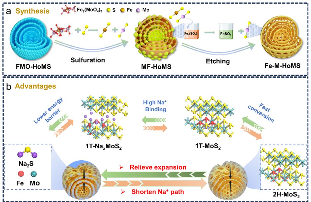 趙孝先課題組Angewandte：Fe單原子摻雜的MoS2多殼層空心球促進(jìn)鈉離子電池快速相變