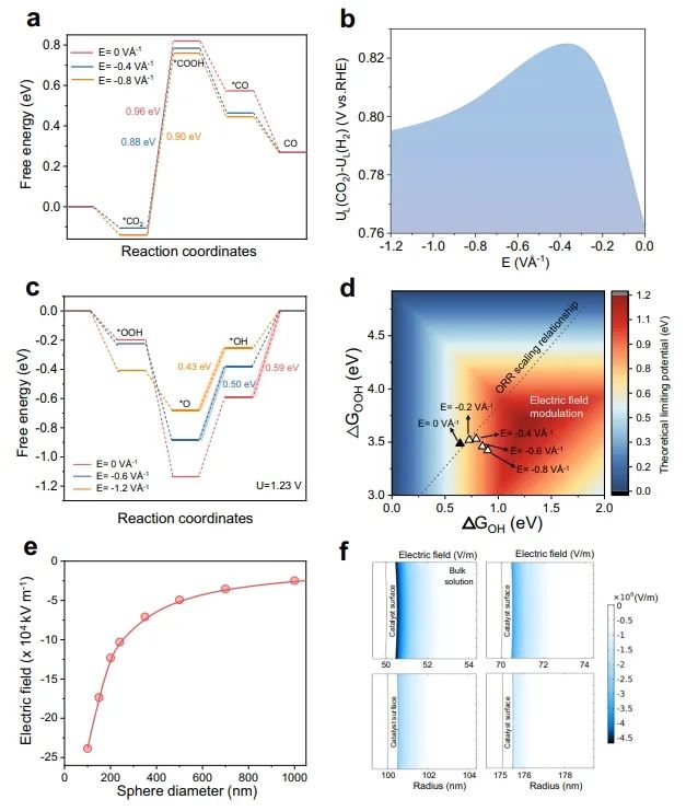 Nature子刊：計算+實驗！證實納米曲率誘導的場效應能夠控制單原子催化劑的活性