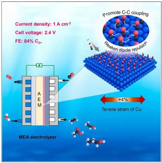 【DFT+實(shí)驗(yàn)】Chem：近100%選擇性！銅晶格張力促進(jìn)全池CO電解制多碳烯烴和含氧化合物