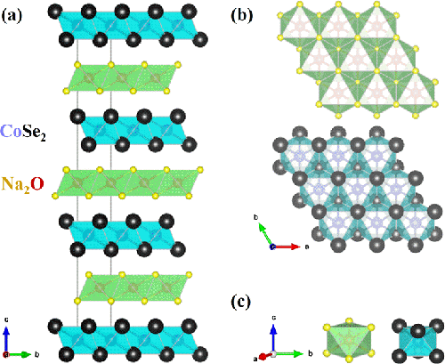 發(fā)現(xiàn)新型層狀鈷基硒氧化物超導(dǎo)體