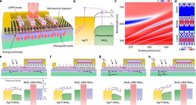 浙江大學(xué)，最新Nature子刊！