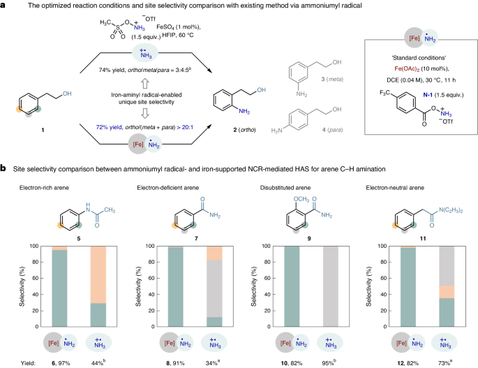 南開/天大，重磅Nature Catalysis！實(shí)現(xiàn)高度鄰位選擇性的催化合成新策略！