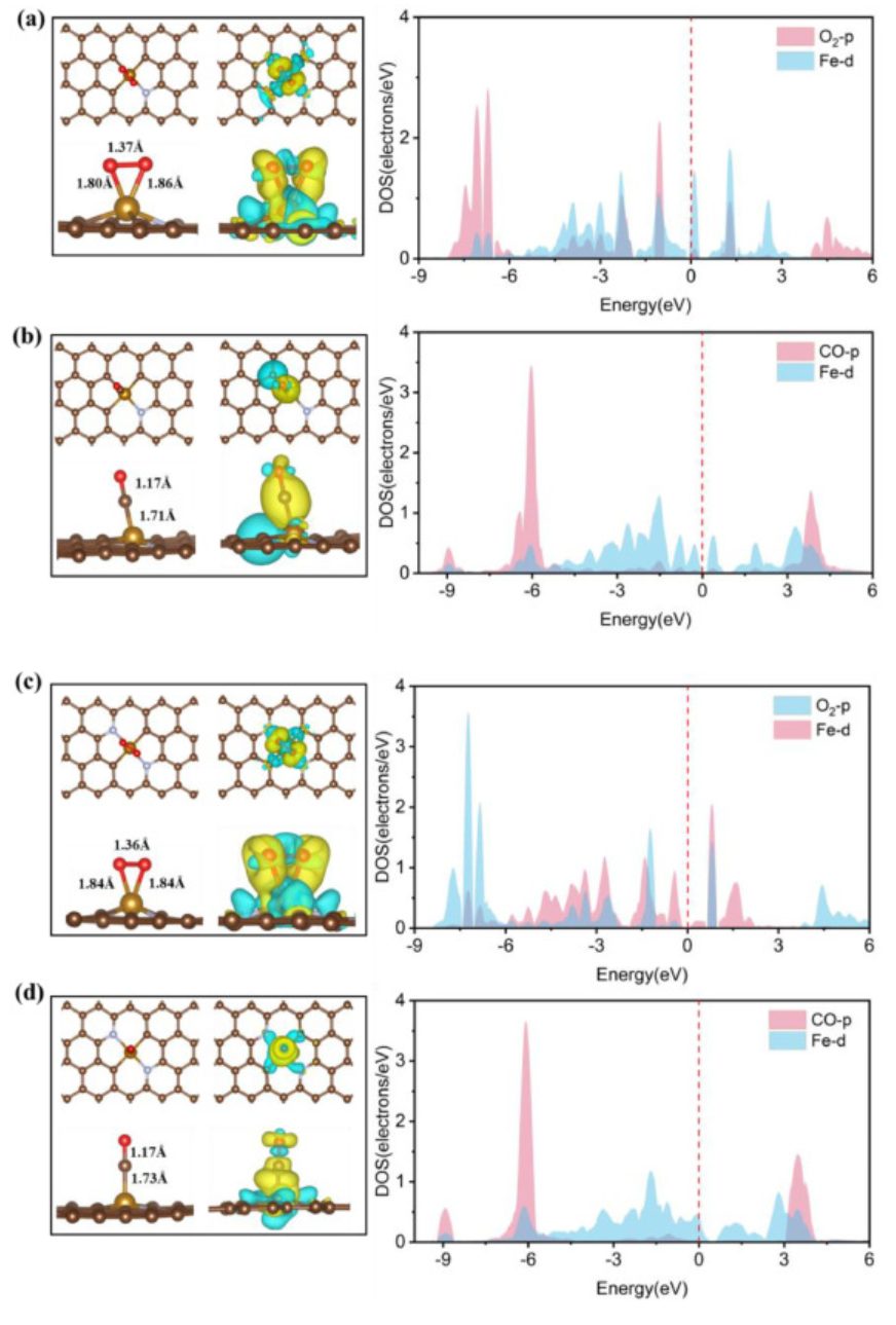【純計(jì)算】Mol. Catal.：具有不同配體結(jié)構(gòu)的氮摻雜石墨烯催化CO氧化反應(yīng)動(dòng)力學(xué)的理論研究