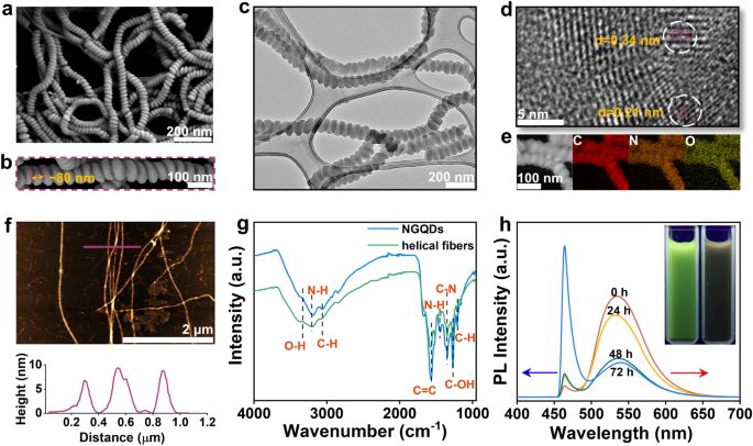 揚(yáng)州大學(xué)，最新Nature子刊！